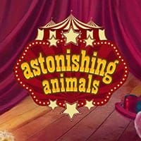 Astonishing Animals in Favourites