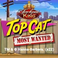 Top Cat Most Wanted Jackpot King in Other Jackpots