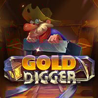 Gold Digger in sub_isoftbetgames