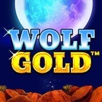 Wolf Gold in Favorites